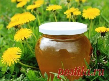 Варенье из одуванчиков: лучшие рецепты, как правильно варить. .