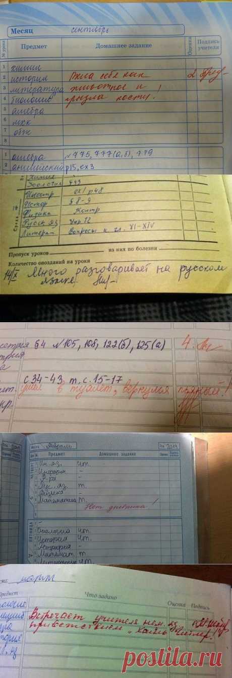 И снова в школу ... с дневником (фото) / Малютка