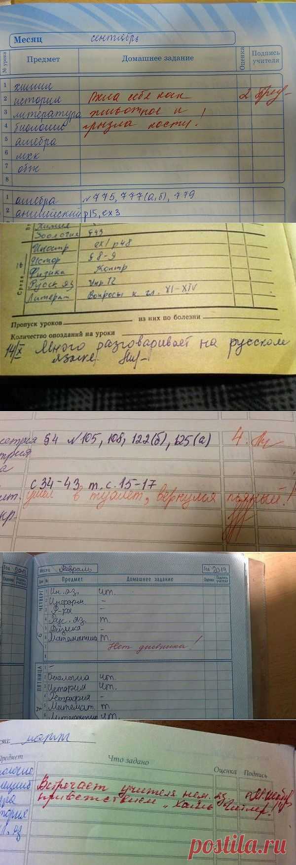 И снова в школу ... с дневником (фото) / Малютка