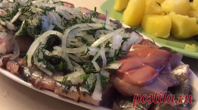 Сельдь пряного посола в домашних условиях - 3 очень вкусных и проверенных рецепта