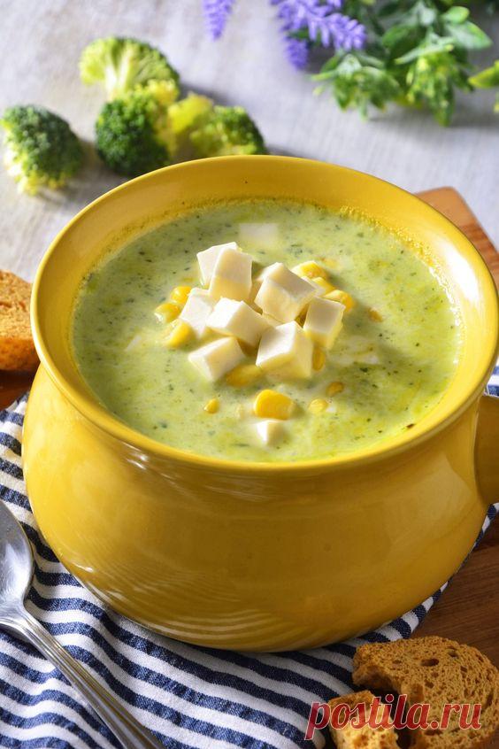 10 лучших рецептов крем-супов на каждый день