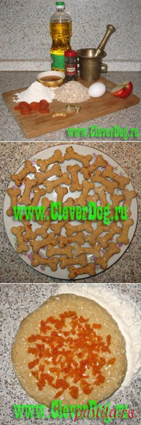 Печенье для собаки своими руками