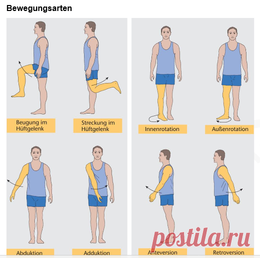 Bewegungsarten