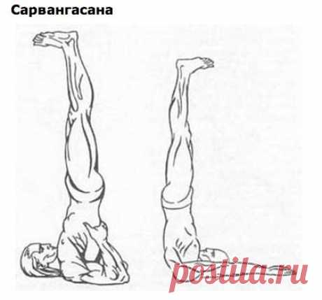 Избавься от морщин и седины с помощью всего 1 упражнения Иногда так хочется попасть в прошлое. Можно было бы воспользоваться утраченными шансами, исправить допущенные ошибки, извиниться… Но что-то я замечтался. А всё из-за темы этого материала.
Оказывается,…