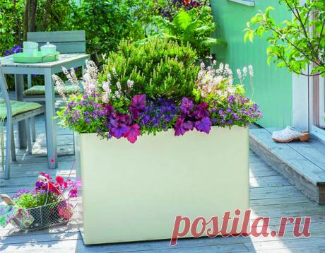 Как сделать дачу источником удовольствия, а не бесконечной работы | 6 соток