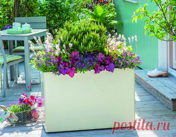 Как сделать дачу источником удовольствия, а не бесконечной работы | 6 соток