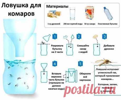 Простой рецепт натуральной самодельной ловушки для комаров. Скоро пригодится.