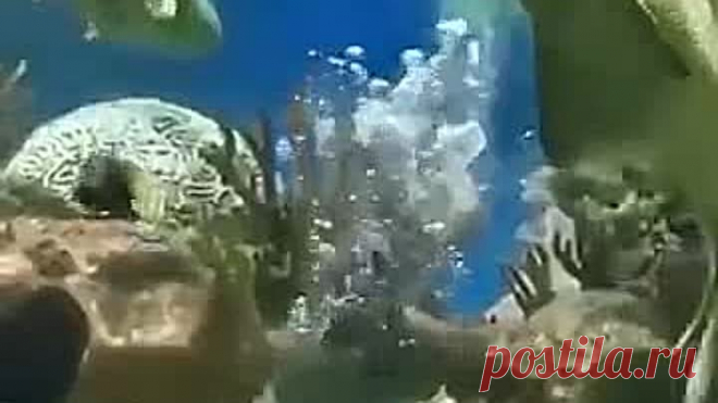 КАК КРАСИВО 👍👍👍👍👍👍👍👍👍👍👍