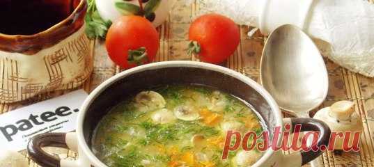 Суп с овсянкой и грибами
https://www.patee.ru/recipes/soups/view/?id=231460