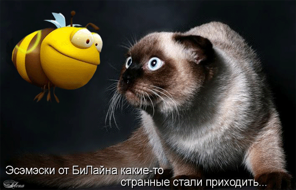 Мой Мир@Mail.Ru