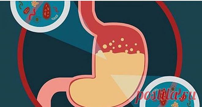 Сделайте эту смесь, чтобы немедленно убить кишечных паразитов! Отличный вариант! Многие люди считают, что паразиты существуют только в экзотических тропических локациях, но, к сожалению, на самом деле это не так.