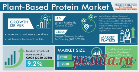 The global plant-based protein market generated $11,104.3 million revenue in 2020, and it is expected to grow at a CAGR of 9.2% during 2020–2030. This is attributed to the rising intolerance to animal protein, increasing customers’ expenditure, and growing awareness about healthy plant-based food.