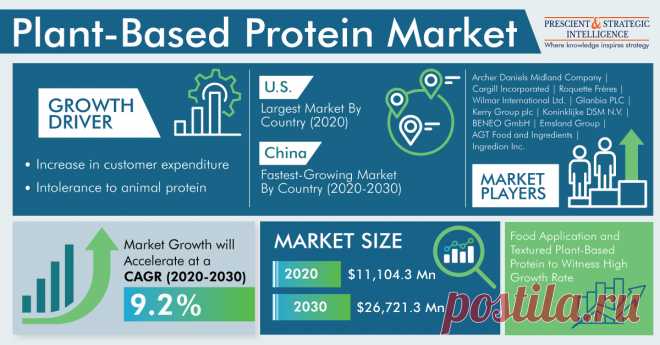 The global plant-based protein market generated $11,104.3 million revenue in 2020, and it is expected to grow at a CAGR of 9.2% during 2020–2030. This is attributed to the rising intolerance to animal protein, increasing customers’ expenditure, and growing awareness about healthy plant-based food.