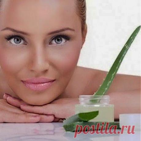 Сок Алоэ — Здоровая Нежная Кожа | Самые популярные и самые вкусные рецепты с видеоСамые популярные и самые вкусные рецепты с видео