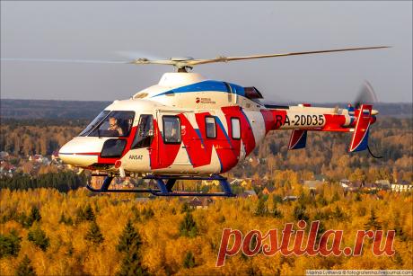 Воздушная съёмка AIR-TO-AIR на фоне золотой осени. Эксклюзивные ФОТО | Авиафотограф Марина Лысцева | Яндекс Дзен