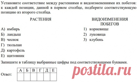 Привет! Вопрос из ботаники по видоизменению побегов. Что такое щитовник и какие ещё представители (виды) данного отдела в качестве примеров могут встретиться на экзамене? Ответы пишите через 10 точек.