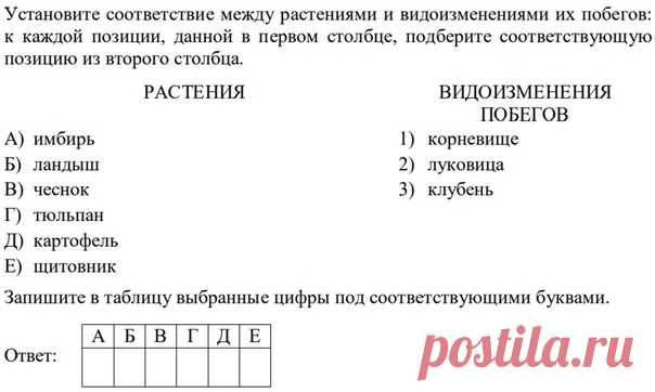 Привет! Вопрос из ботаники по видоизменению побегов. Что такое щитовник и какие ещё представители (виды) данного отдела в качестве примеров могут встретиться на экзамене? Ответы пишите через 10 точек.