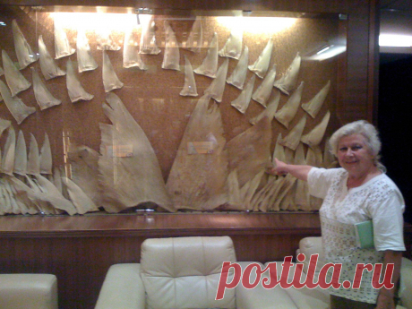 Акульи плавники