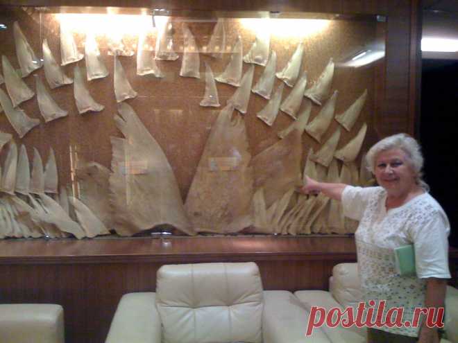 Акульи плавники