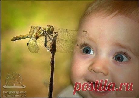 Чему мы можем научиться у детей?