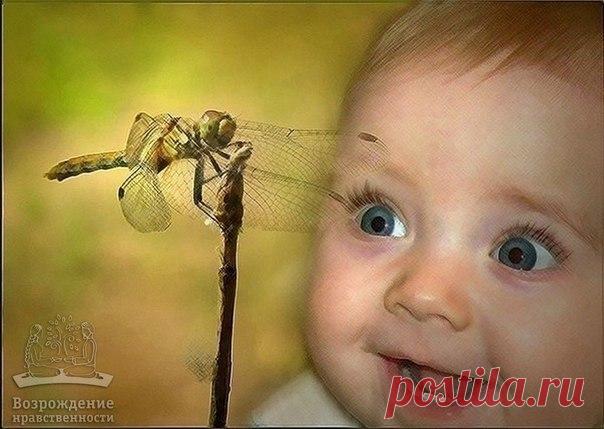 Чему мы можем научиться у детей?