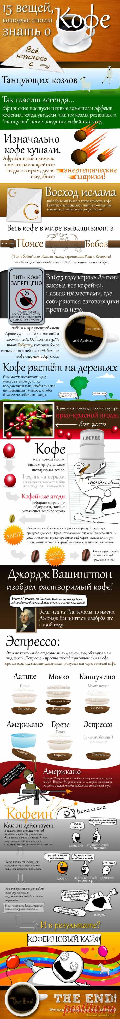 15 вещей, которые стоит знать о кофе.