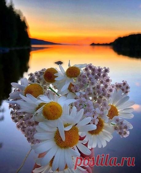 Замри... и слушай тишину...