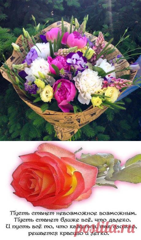 (99+) Одноклассники