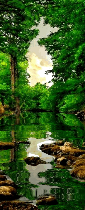 luxelegantopulence:
“♔”