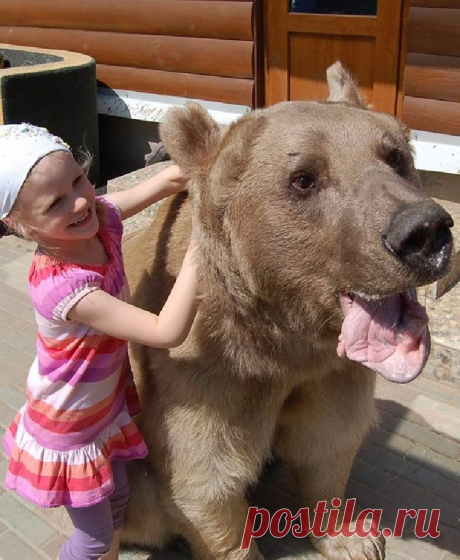Маша и Медведь&quot; в реальной жизни!