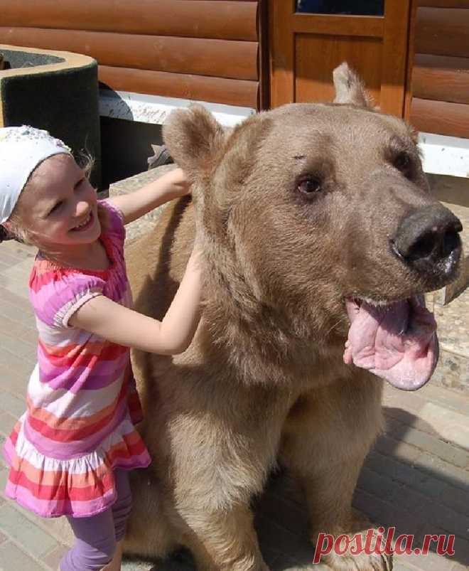 Маша и Медведь" в реальной жизни!