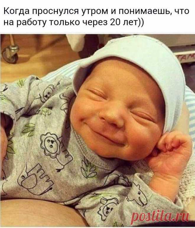 Хохотушки для поднятия настроения