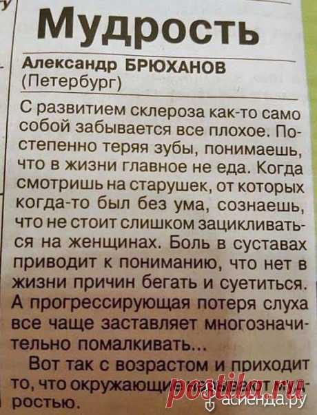 Рокамболь (Слоновий чеснок). Обновление посадочного материала.: Группа Органическое земледелие