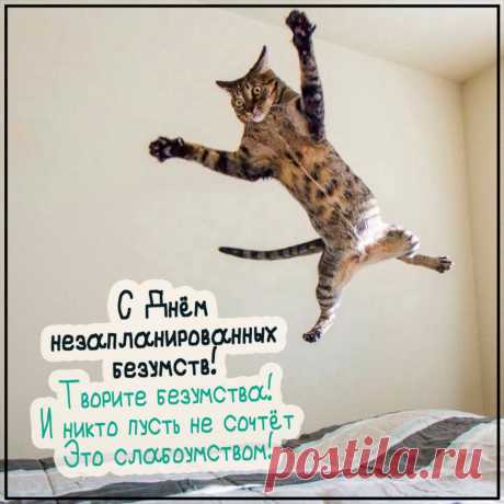 С Днем незапланированных безумств! Пусть в твоей жизни будет больше спонтанности, радости и добрых сумасбродств! Открытки на День незапланированных безумств!
