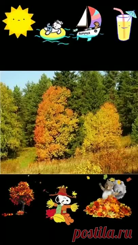 video_3442256713169.mp4