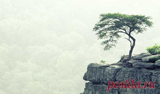 Интересные сказки-притчи | KaifZona.Ru