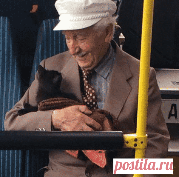 Дедушка обнимает кота в автобусе – от этой прекрасной фотографии у вас потеплеет на сердце ...
