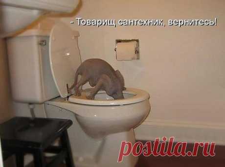 Интересные новости