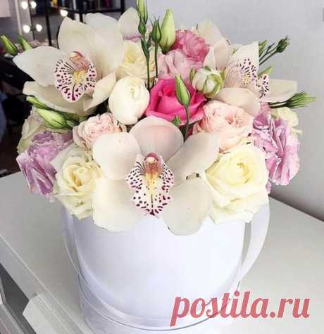 хх