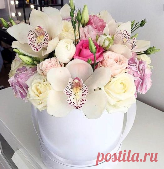 хх