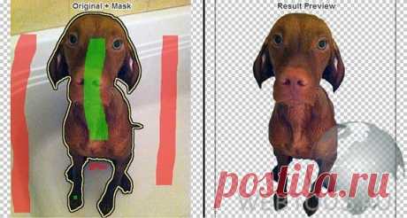 Как легко и быстро удалить фон с фотографии онлайн.