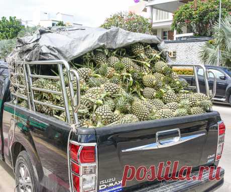 Что скрывает дуриан. Подробный разбор тайских фруктов | На злобу дня | Вкусный блог - рецепты под настроение