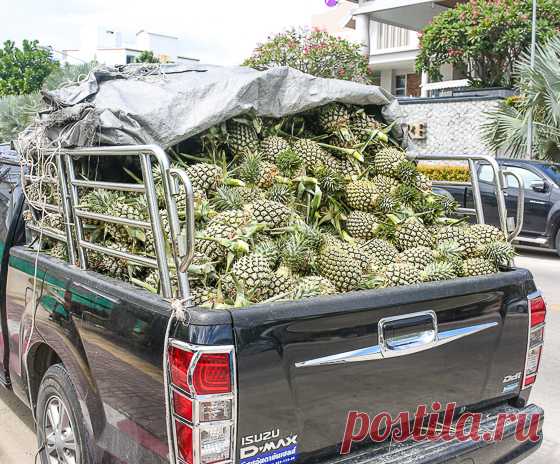 Что скрывает дуриан. Подробный разбор тайских фруктов | На злобу дня | Вкусный блог - рецепты под настроение