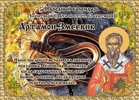 Смельчаки, не боявшиеся змеиного скопления, отправлялись в лес, соблюдая особые ритуалы. Они обували высокие сапоги и читали специальные заговоры для защиты от укусов. Охота воспринималась не только как промысел, но и как своеобразное испытание на смелость, единоборство с природой, которая в этот день была особенно непредсказуемой. Открытки на День Памяти Артамона Змеевика!