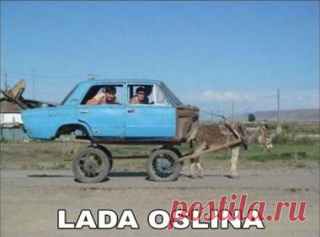 Смешные картинки, мемы и лучшие шутки Рунета.-Новости Дня