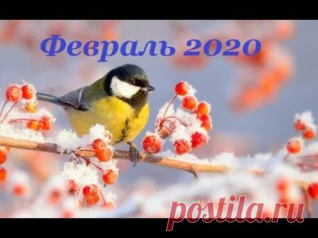 Экспресс Таро прогноз на февраль 2020 года по знакам Зодиака (Астрологический Оракул Симболон)