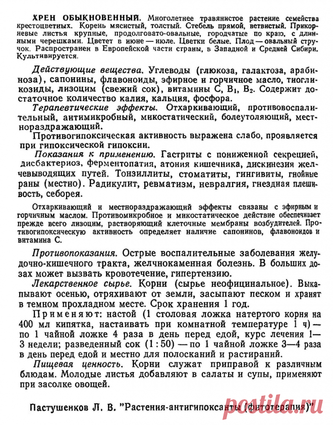 Хрен обыкновенный