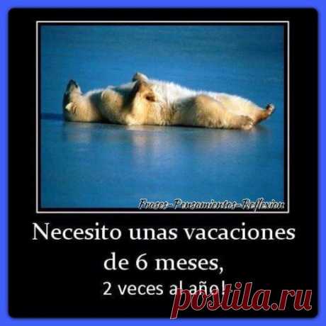 Администратор группы уходит в отпуск / Изучаем Испанский