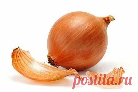 Home garden-Сад, огород, растения дома