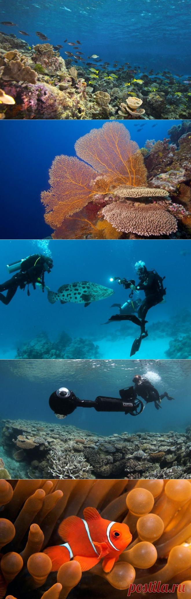 Исчезающие красоты Большого Барьерного рифа